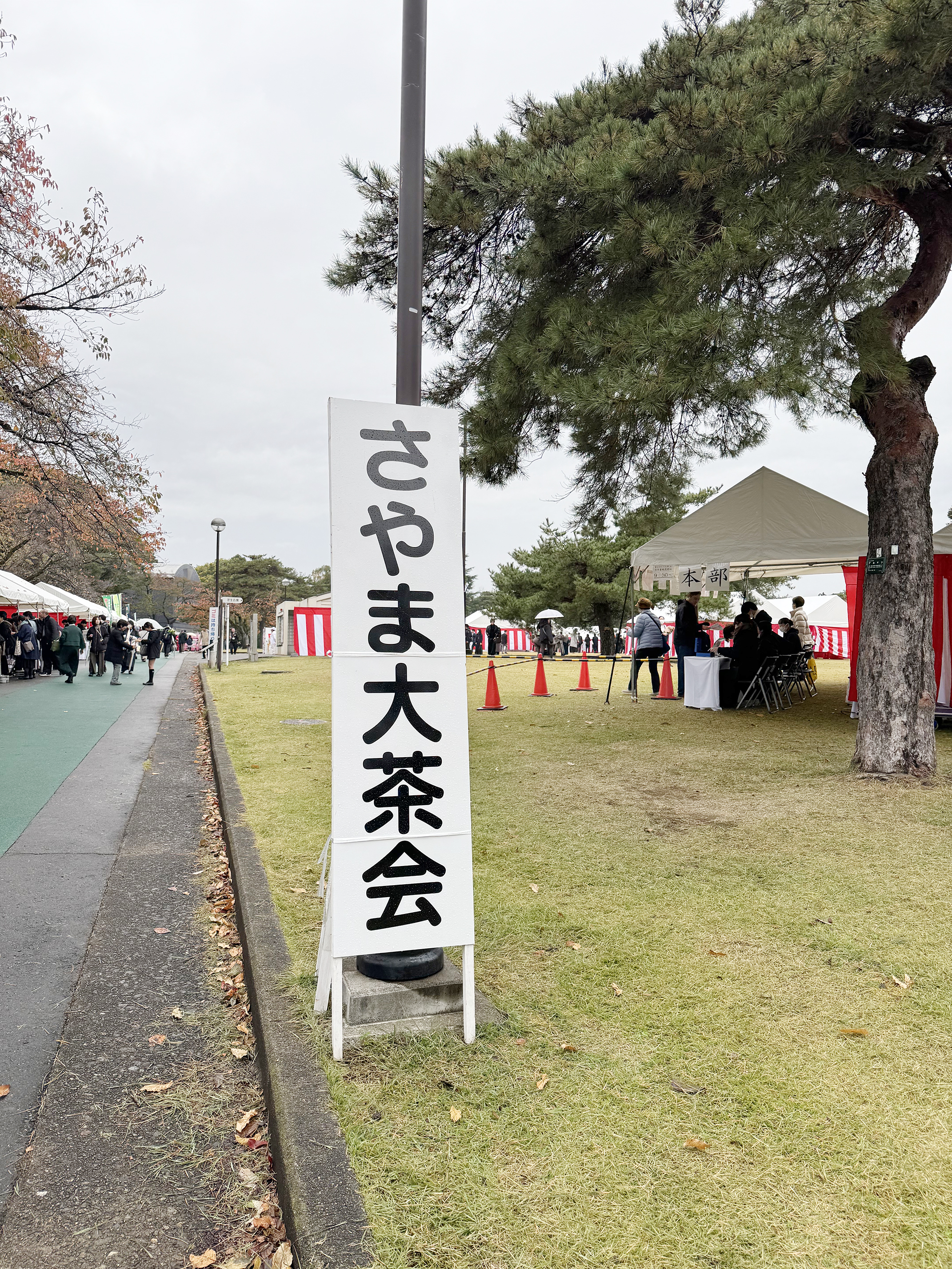 茶道部